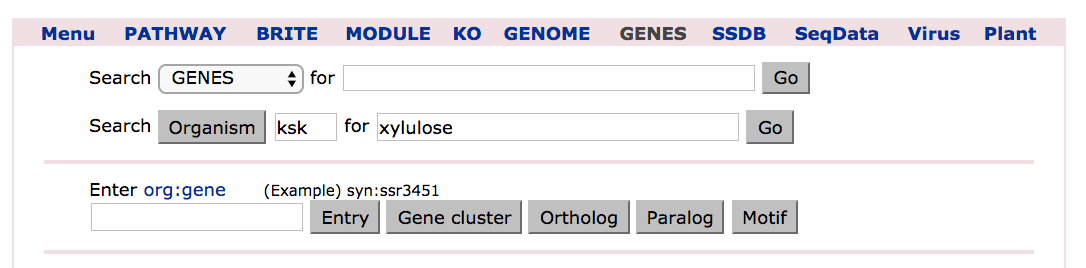 KEGG GENES xylulose search